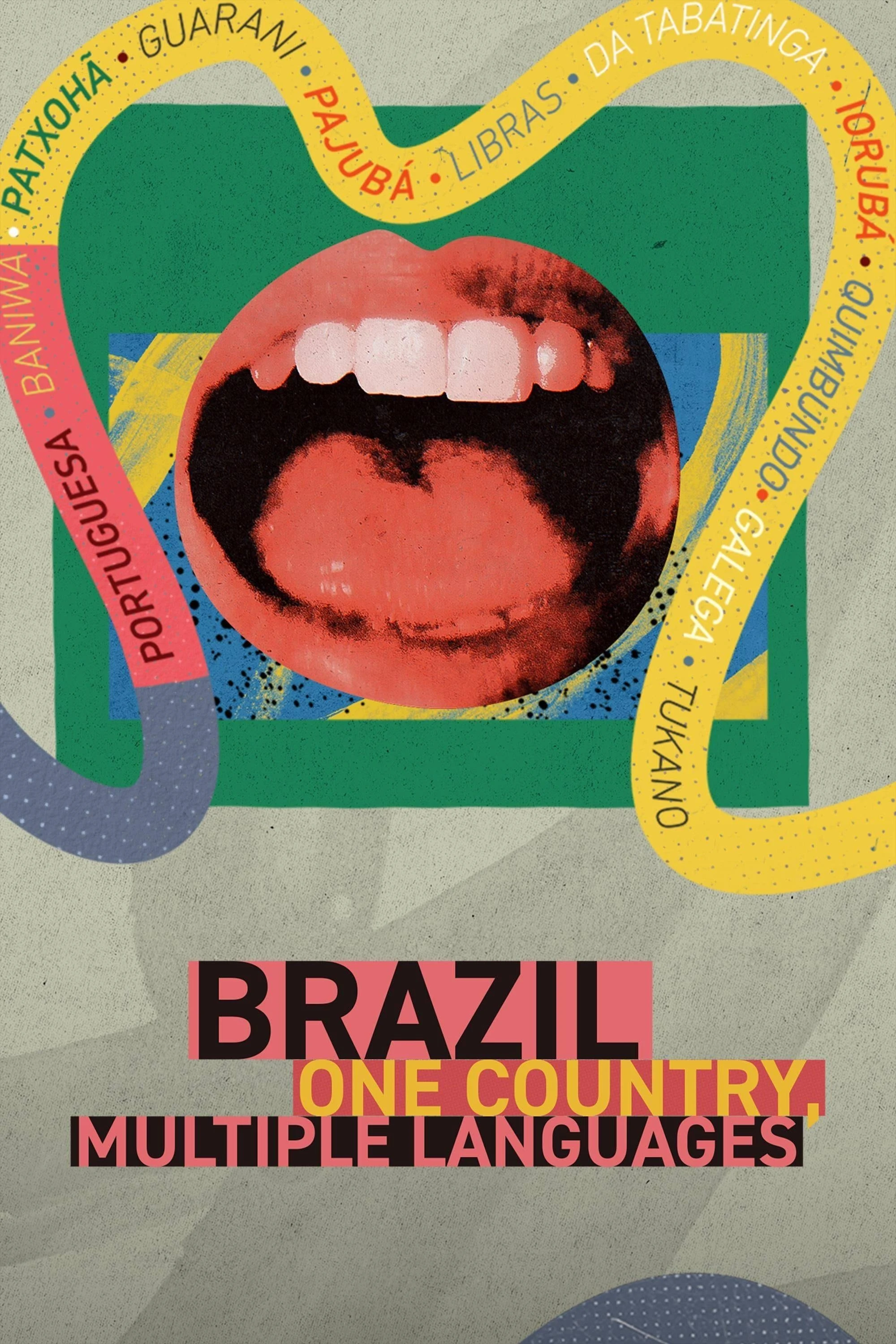 Poster  de Brazil: One Country, Multiple Languages en inglés