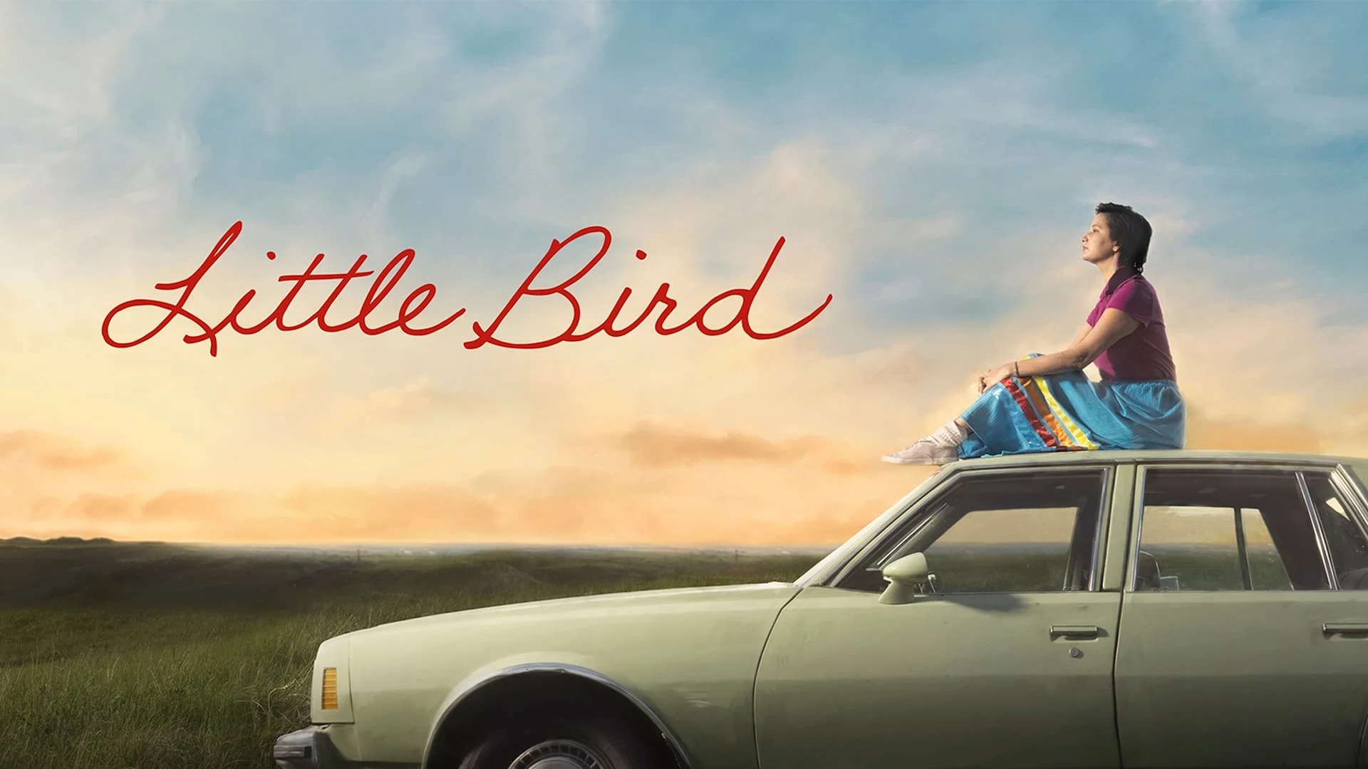 Foto de Little Bird