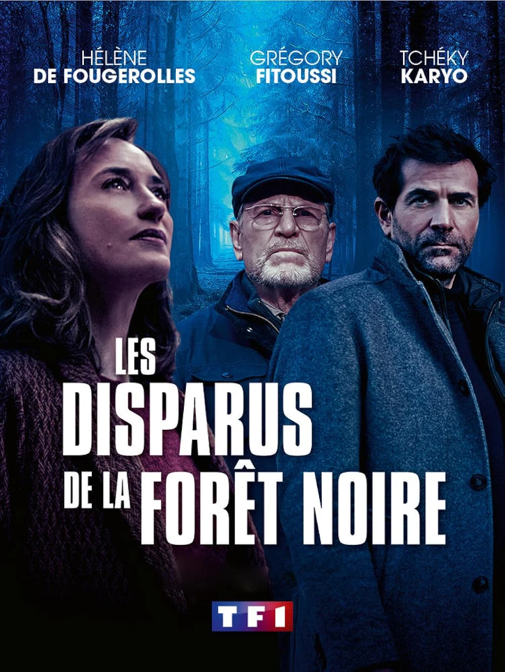 Poster  de Los desaparecidos en la selva