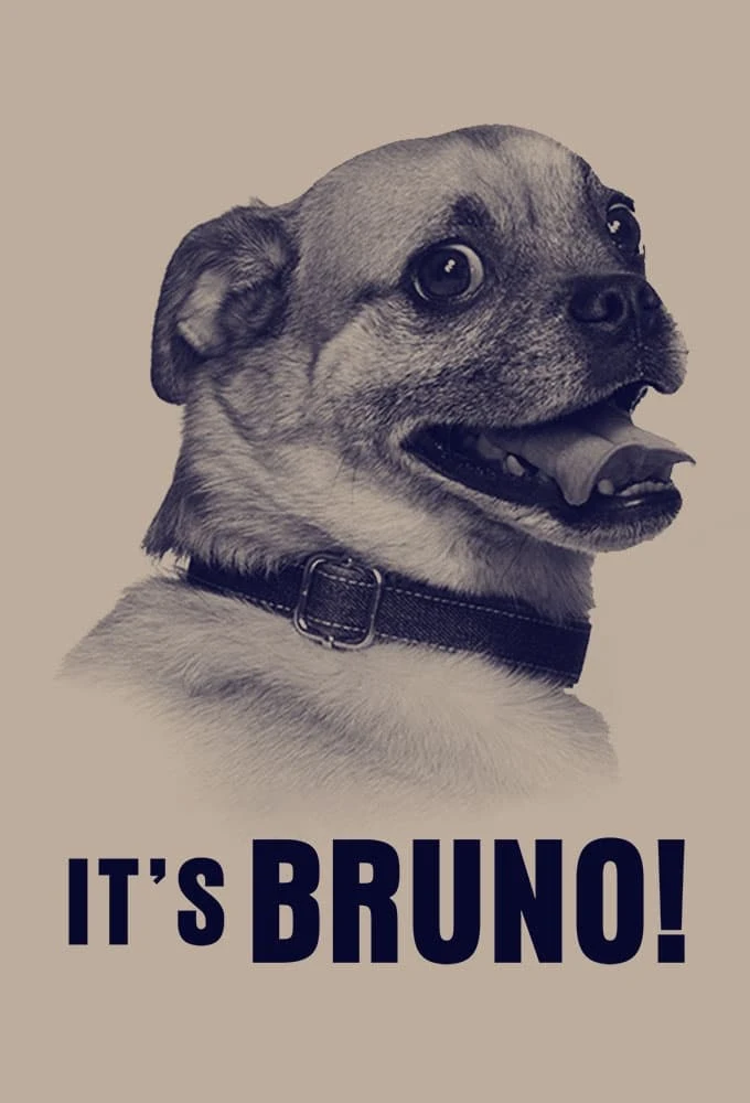 Poster  de It's Bruno! en inglés