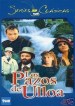 Los pazos de Ulloa