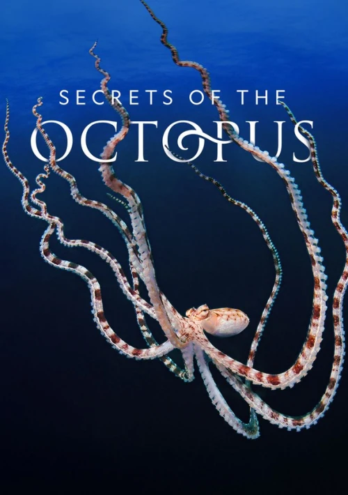 Poster  de la temporada 1 de Secrets of the Octopus