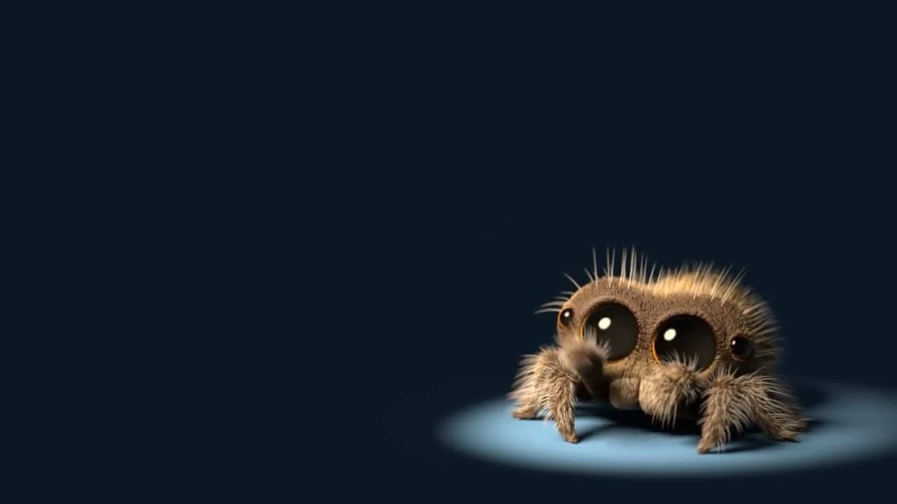 Foto de Lucas the Spider