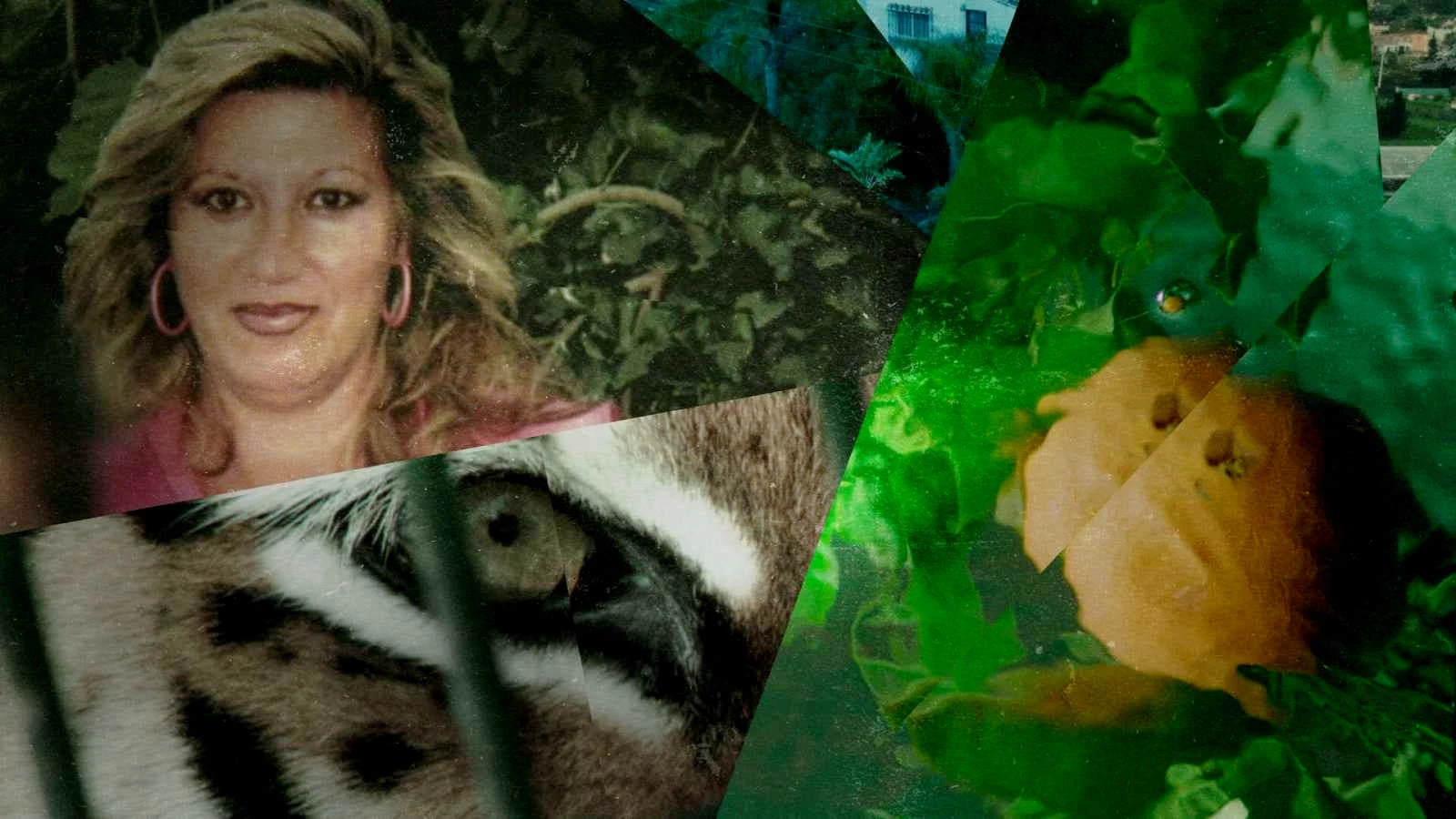 Foto de Lucía in the Cobweb