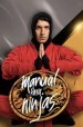 Ninja Warriors