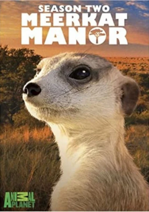 Poster  de la temporada 2 de Meerkat Manor
