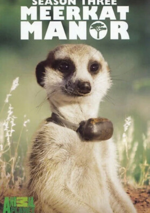 Poster  de la temporada 3 de Meerkat Manor