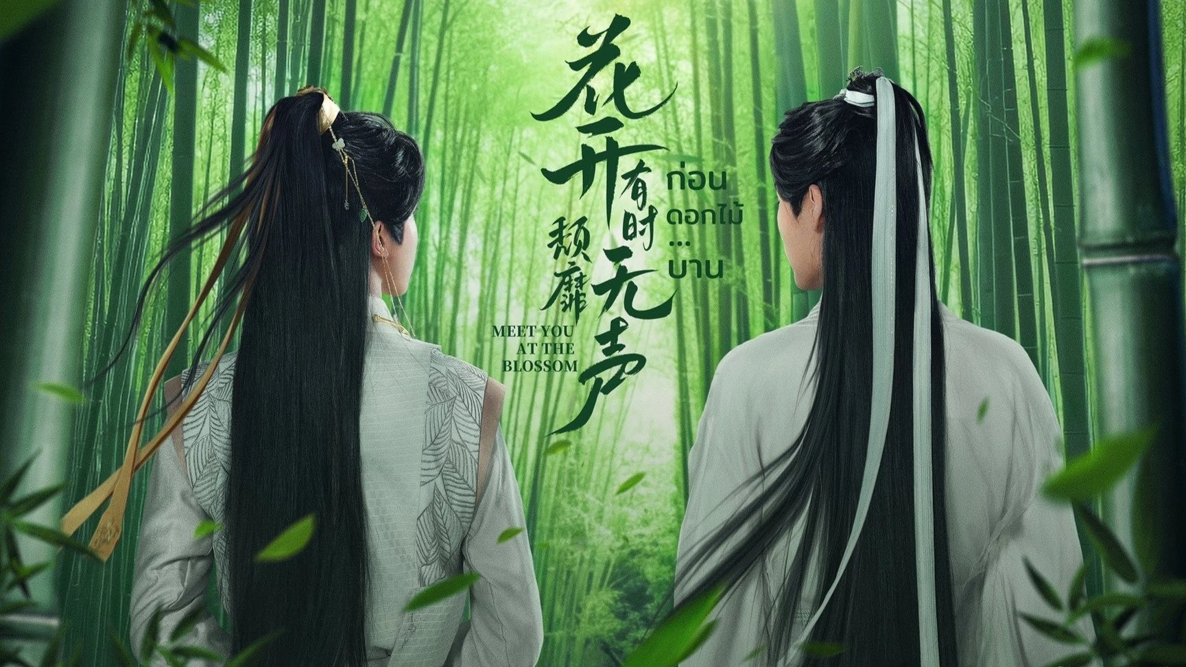 Foto de Meet You at the Blossom