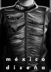 Mexico Diseña