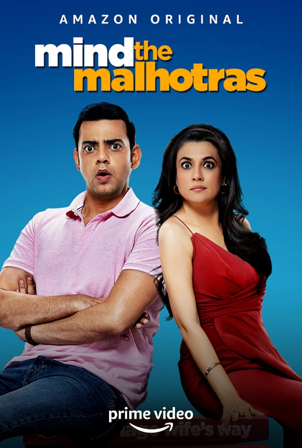 Poster  de Mind the Malhotras