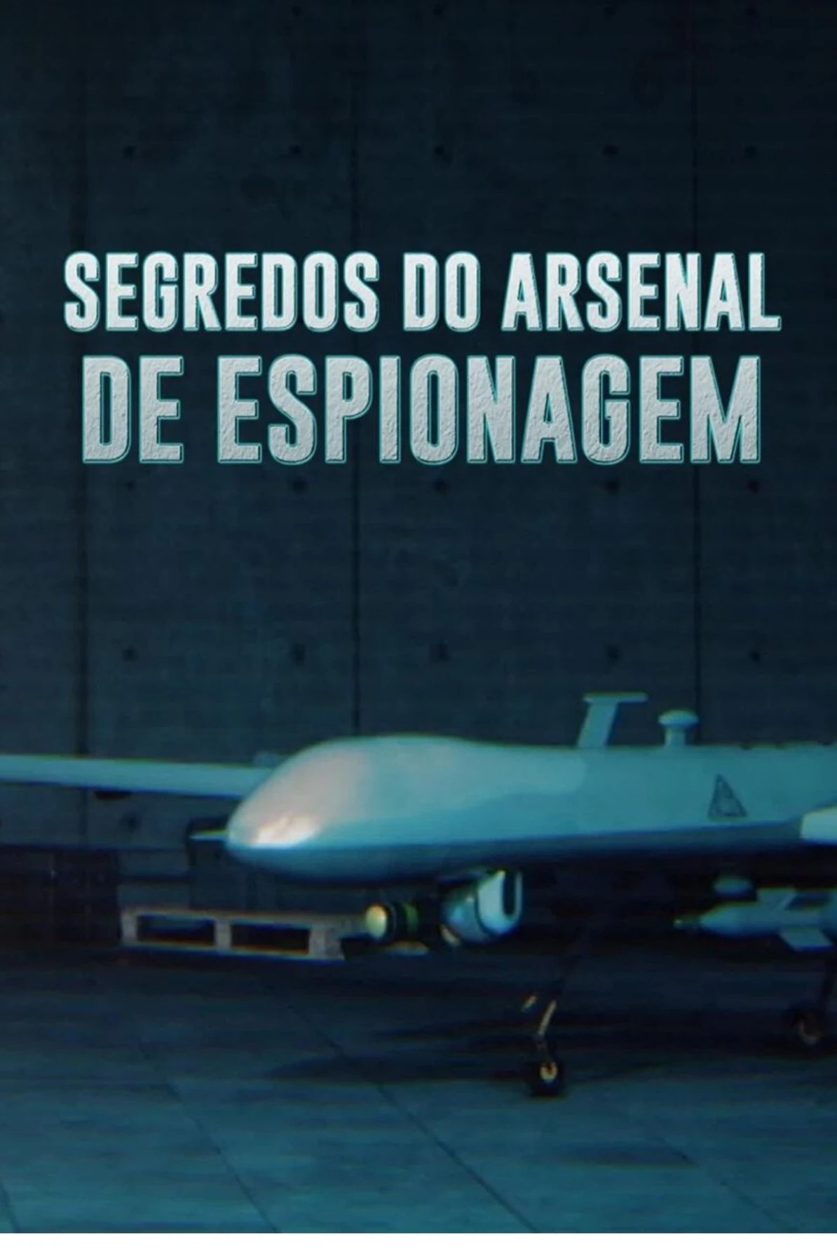 Poster  de Modern Warfare 2.0: Spy Weapons Declassified en español