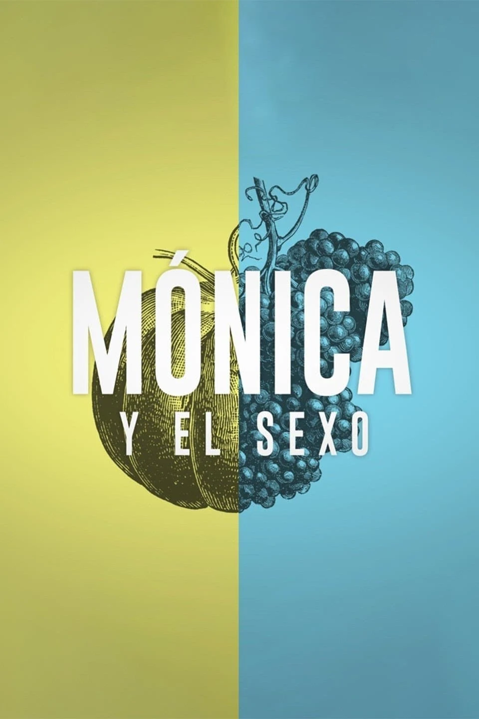 Poster  de Mónica y el sexo