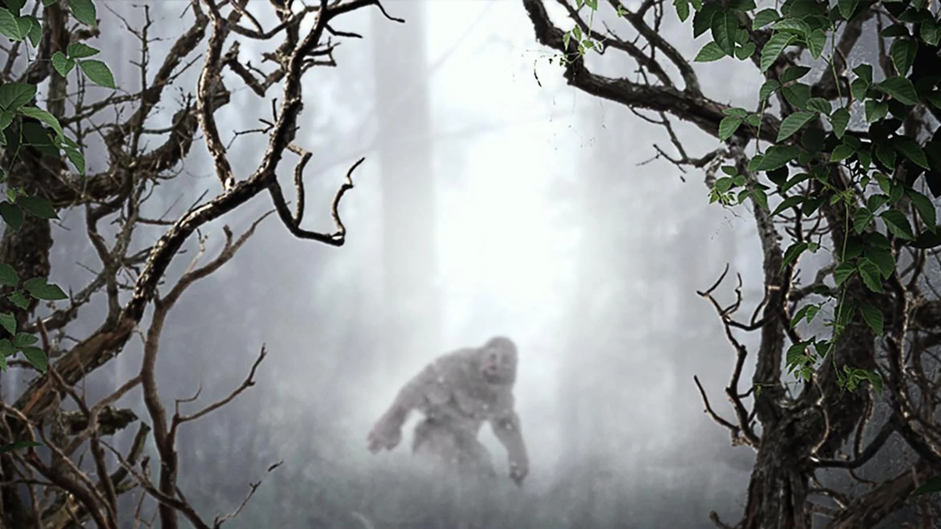 Foto de MonsterQuest