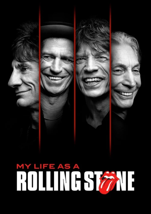 Poster  de la temporada 1 de Mi vida como un Rolling Stone