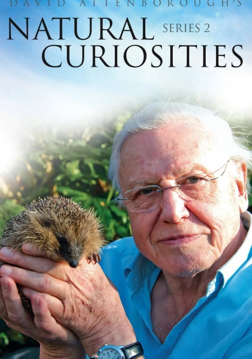 Poster  de la temporada 2 de Natural Curiosities