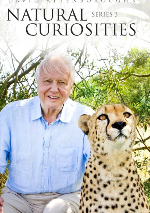 Poster  de la temporada 3 de Natural Curiosities