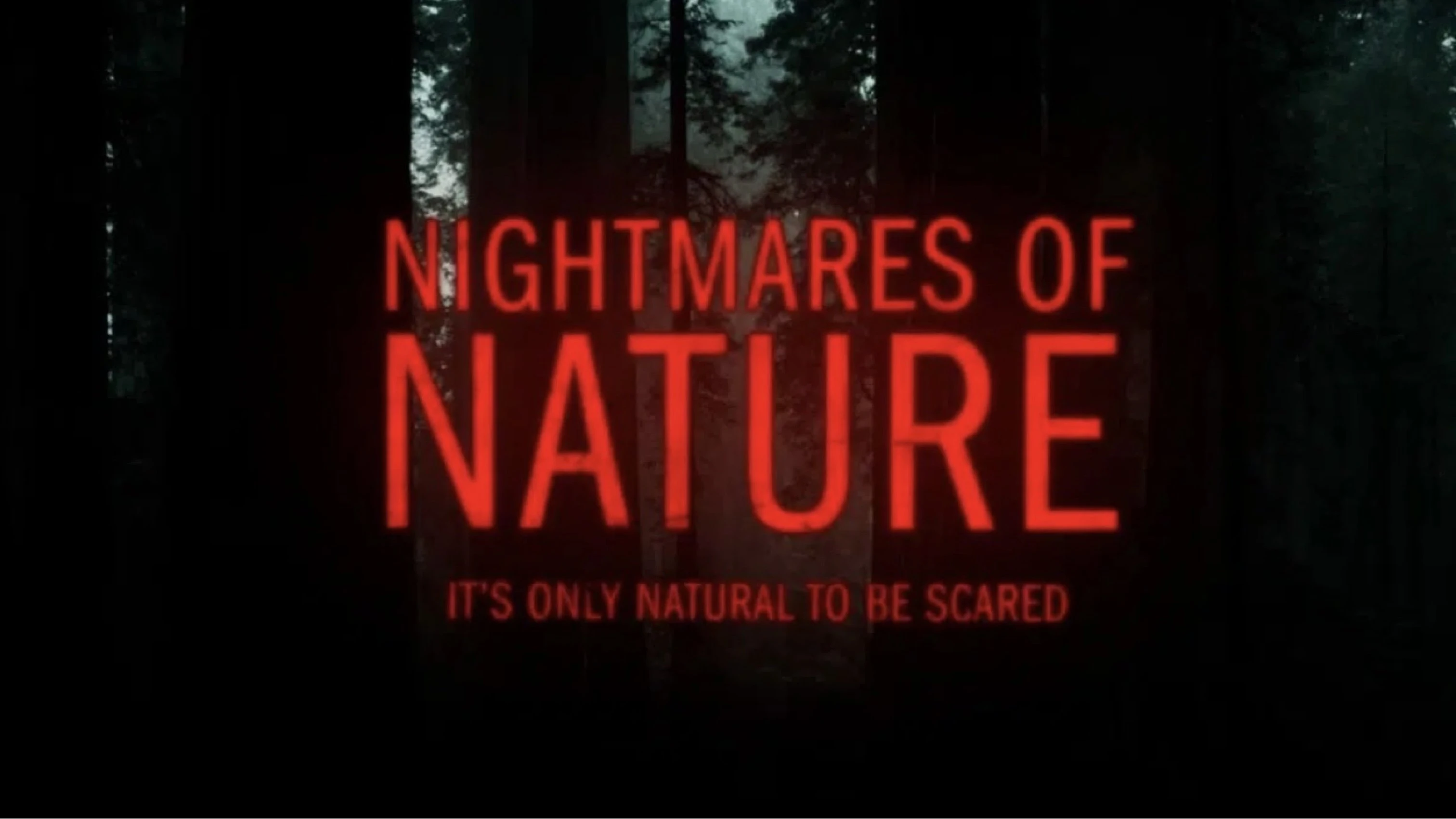 Foto de Nightmares of Nature: Cabin in the Woods