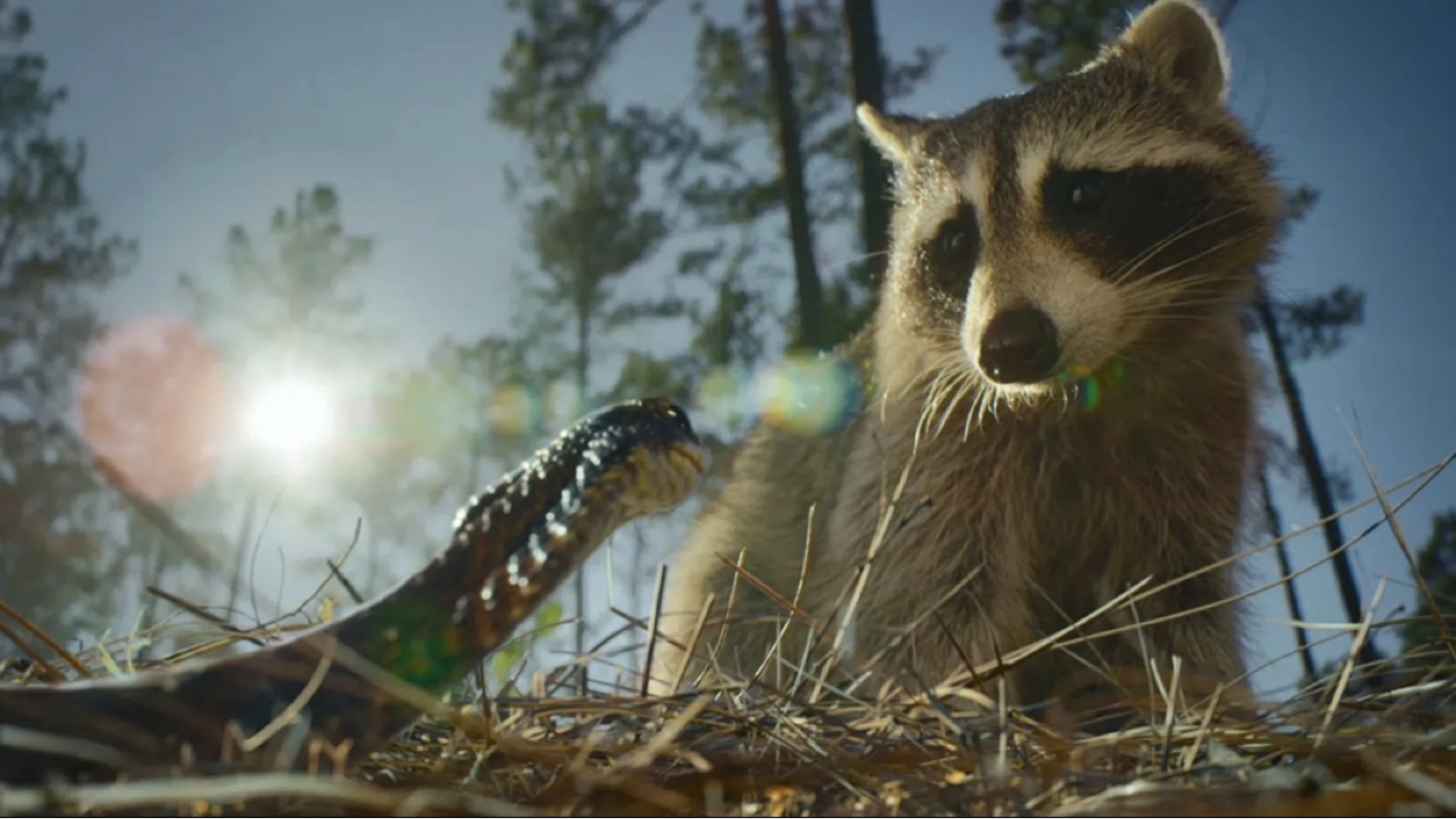 Foto de Nightmares of Nature: Cabin in the Woods
