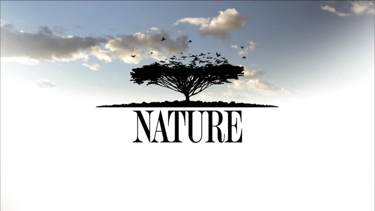 Foto de Nature