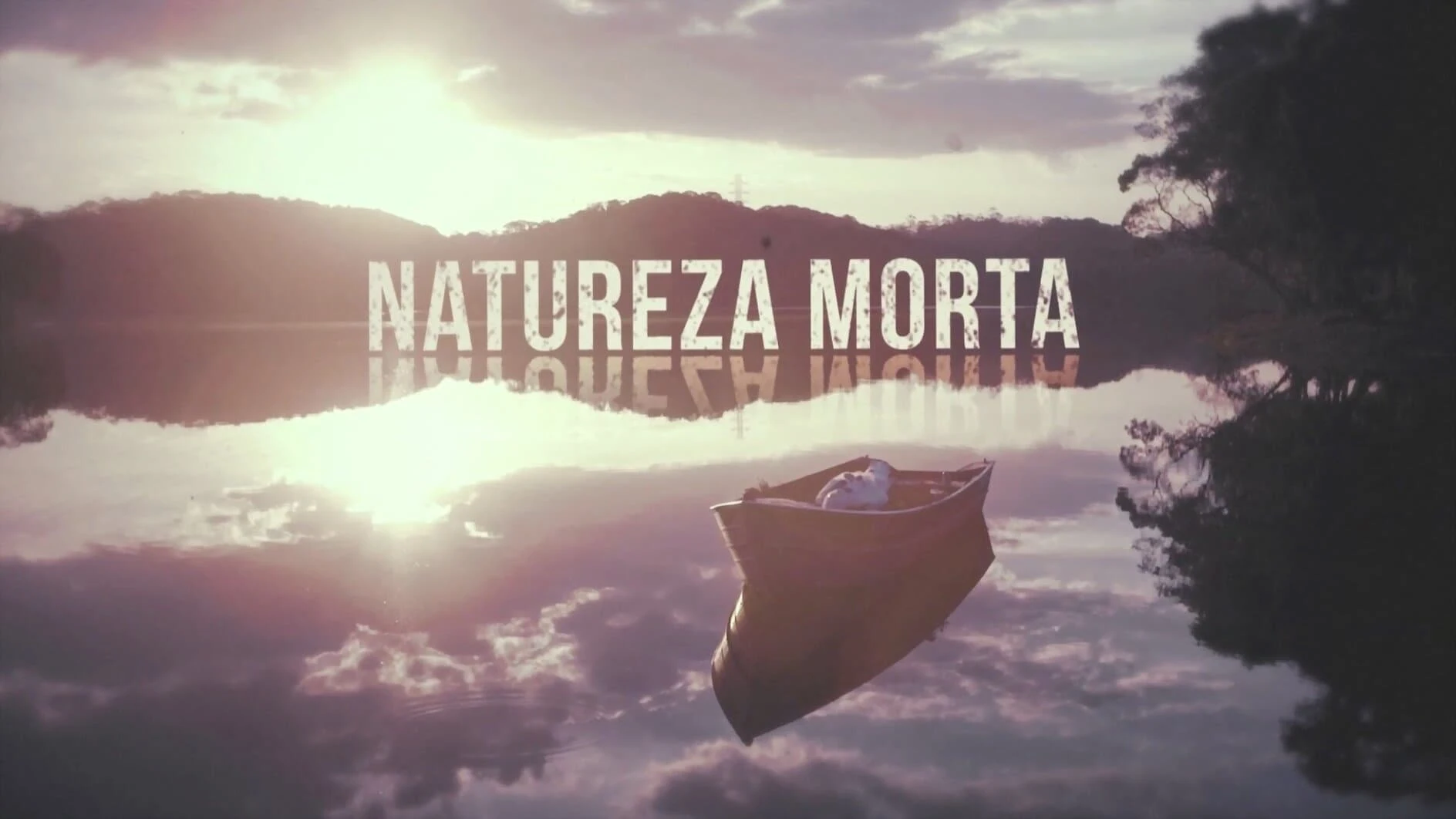 Foto de Natureza Morta