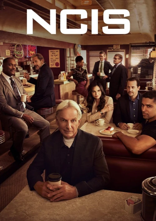 Poster  de la temporada 19 de NCIS