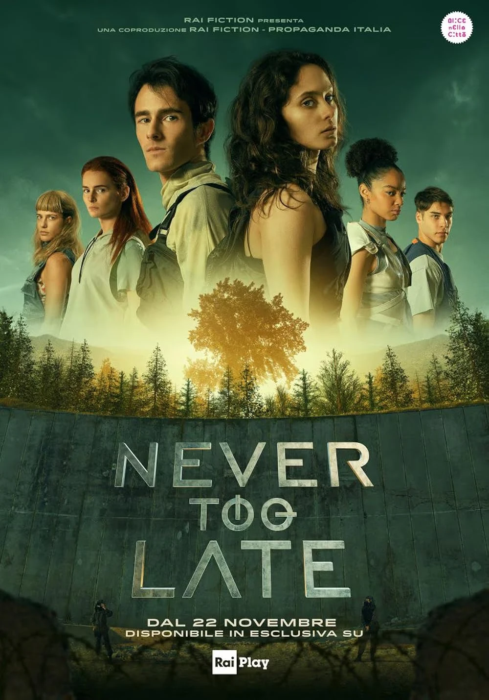 Poster  de Never Too Late