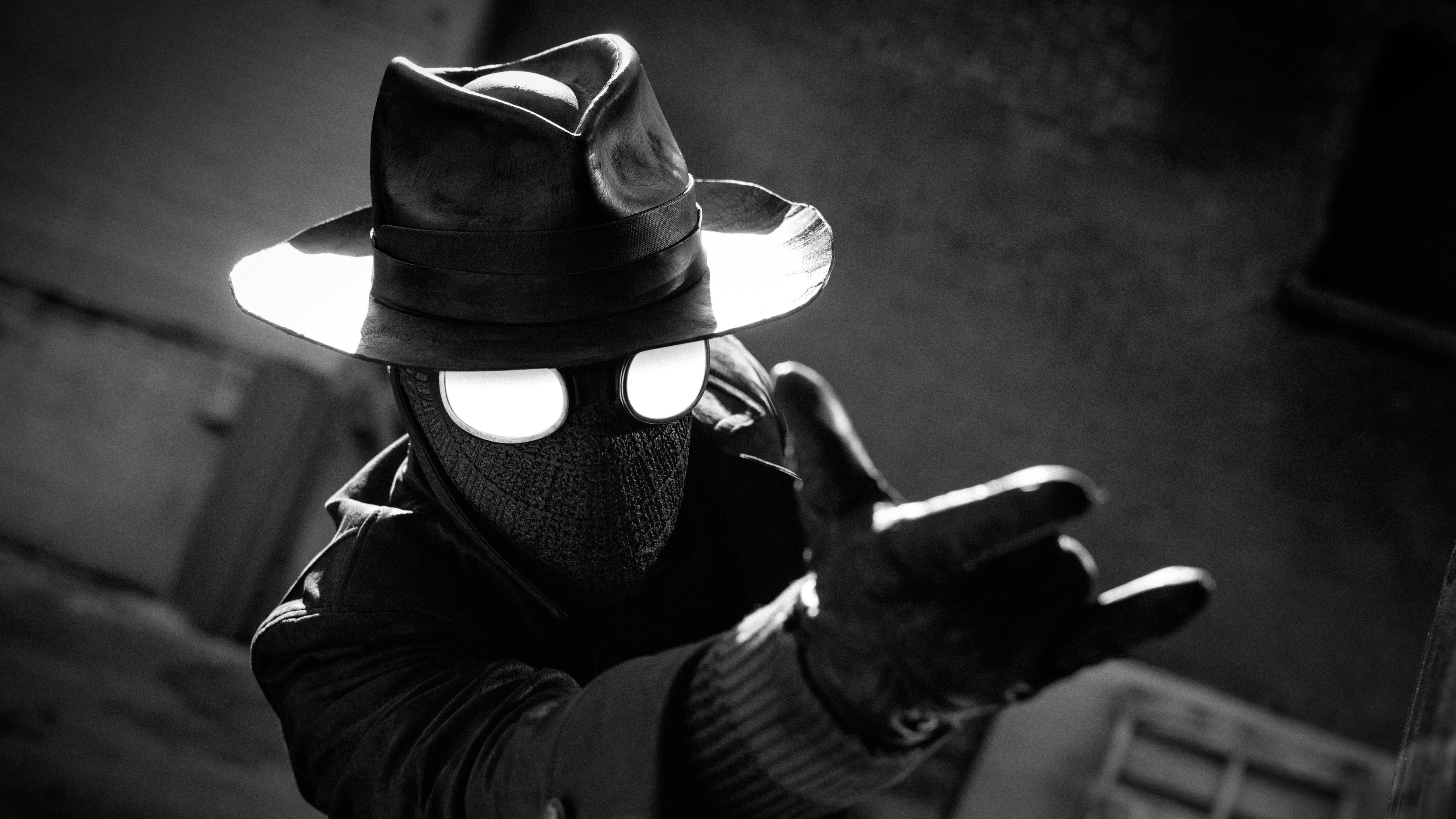 Foto de Spider-Man Noir