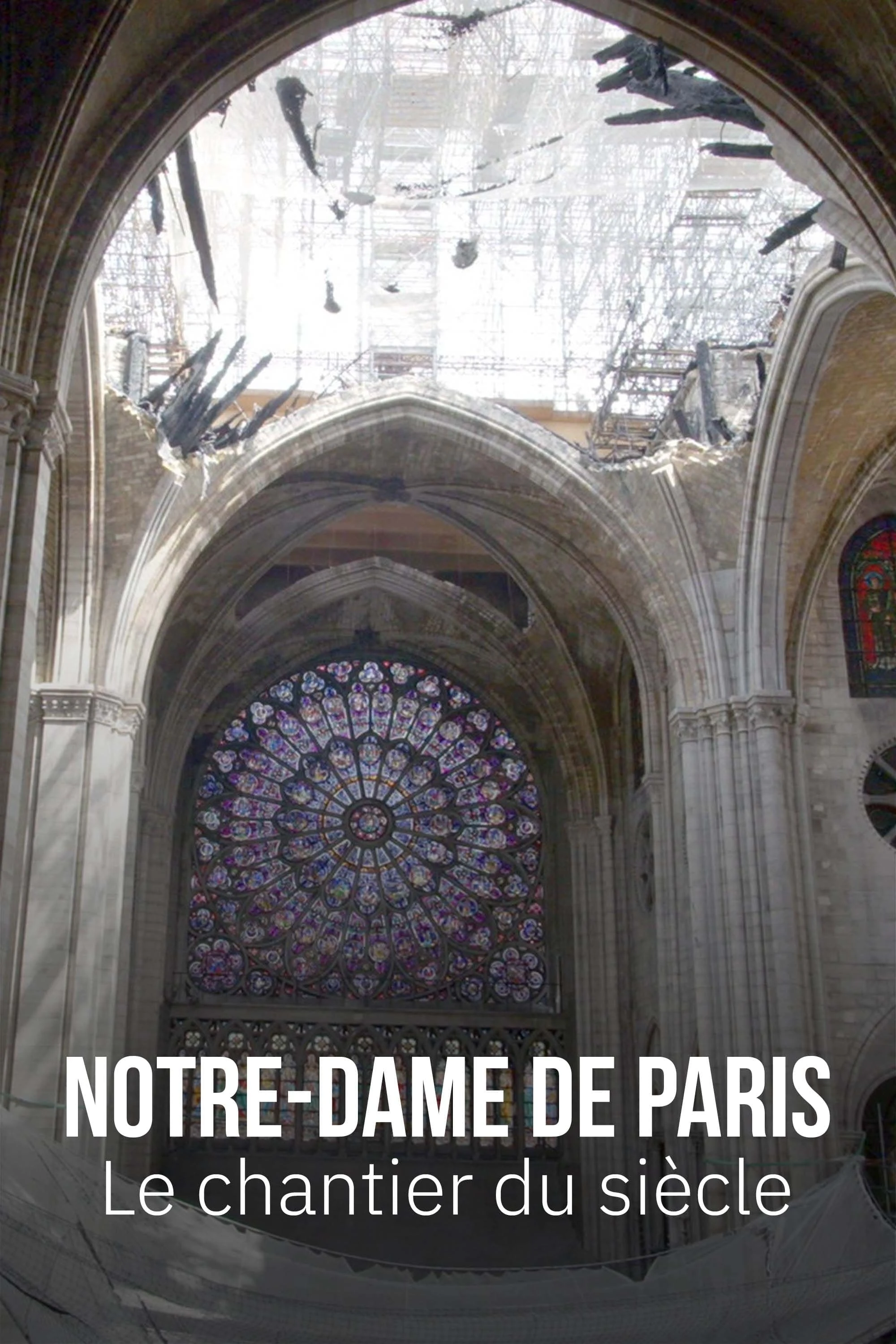 Poster  de Notre-Dame de Paris, le chantier du siècle