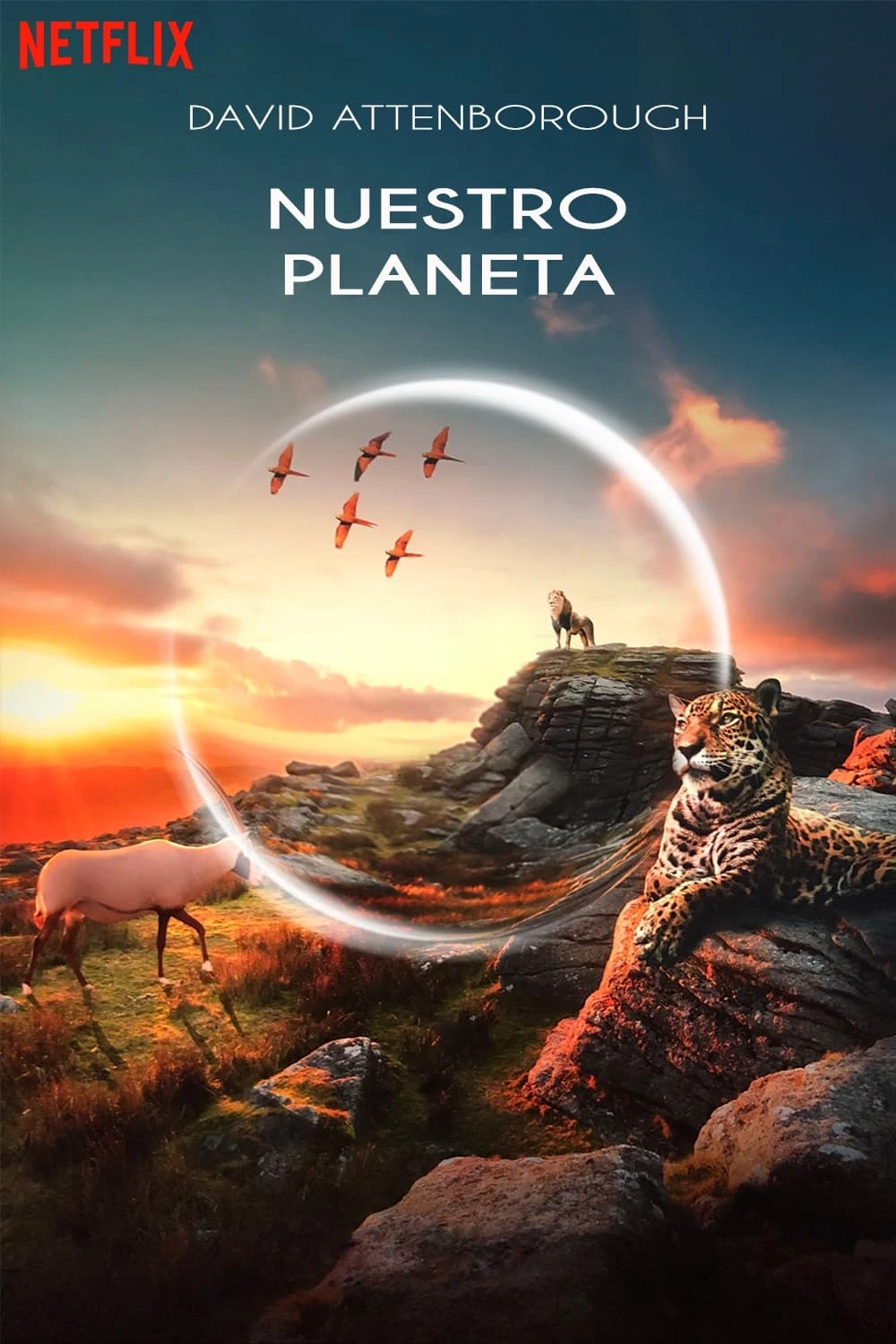 Poster  de Our Planet en español