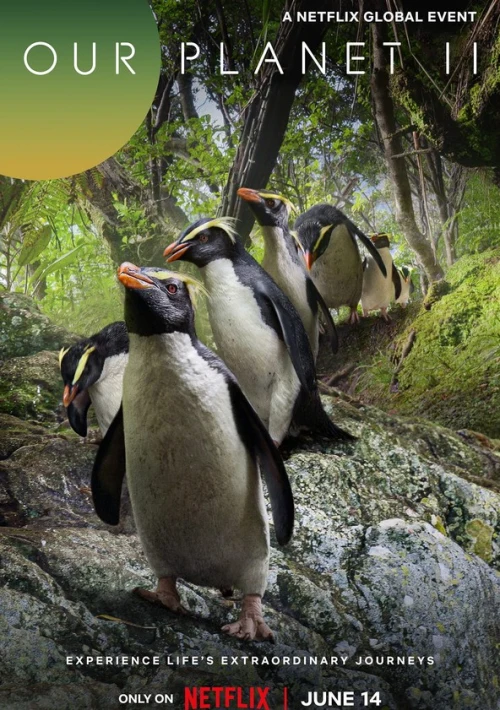 Poster  de la temporada 2 de Our Planet