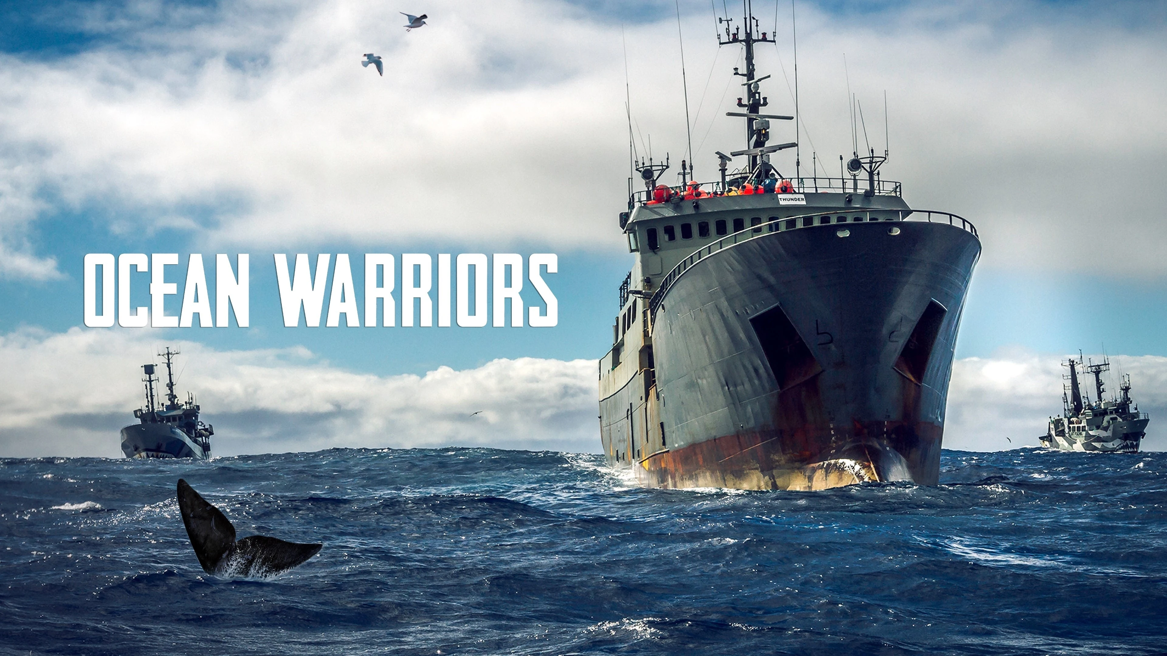 Foto de Ocean Warriors