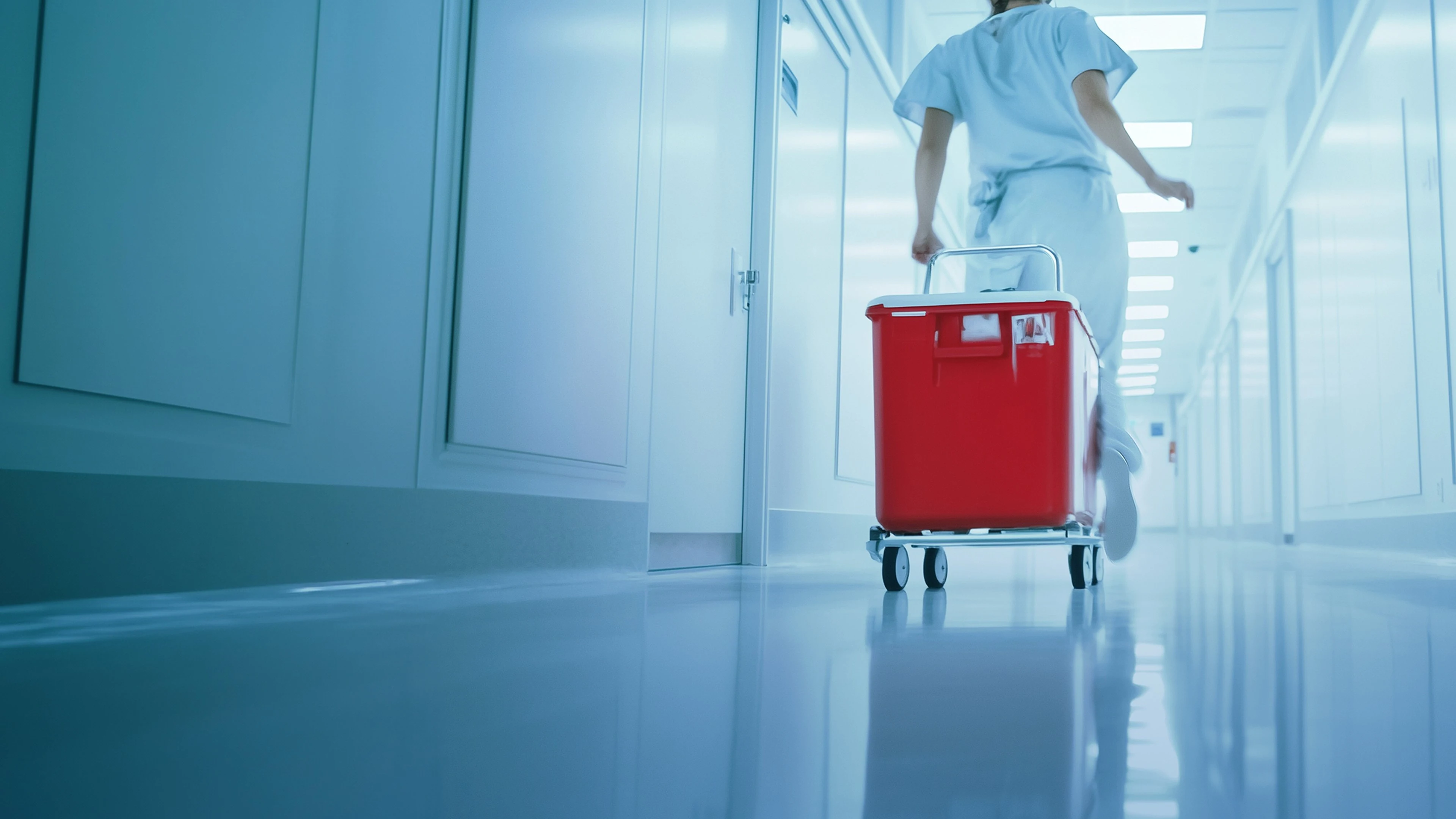 Foto de Operação Transplante