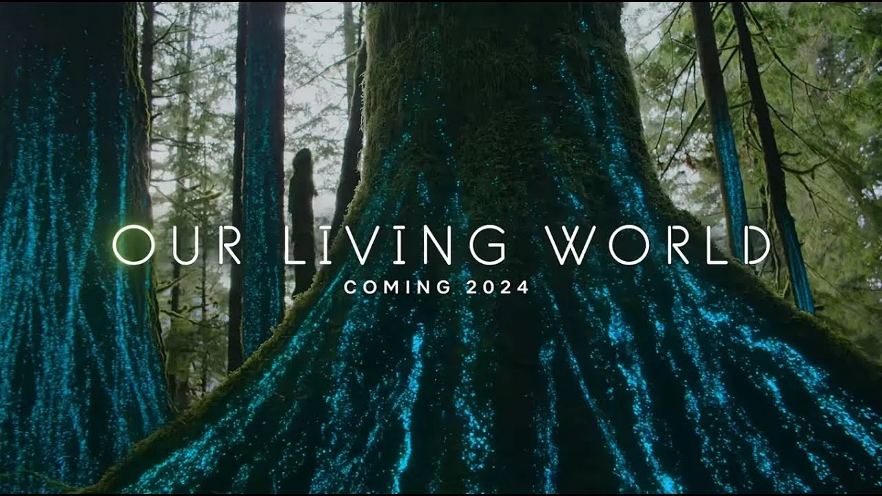 Foto de Our Living World