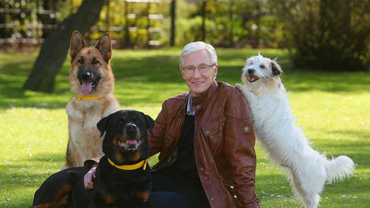 Foto de For the Love of Dogs