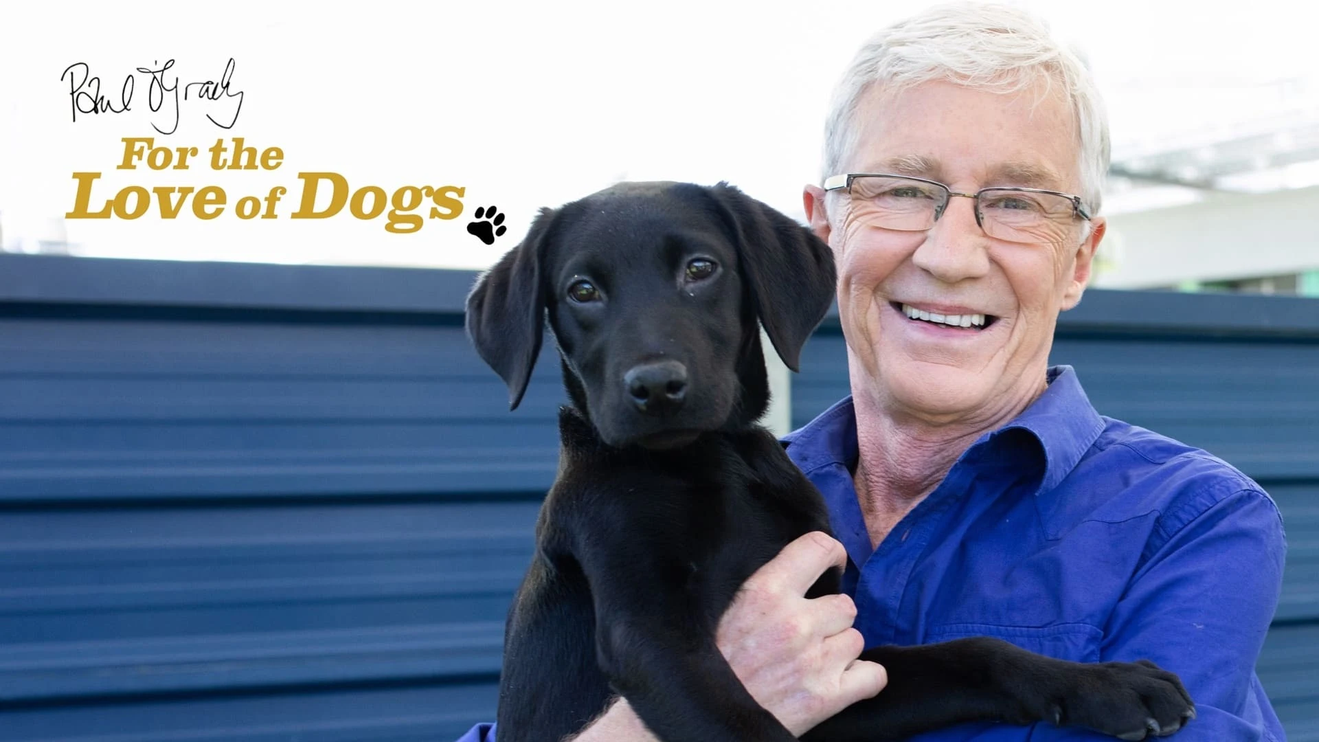Foto de For the Love of Dogs