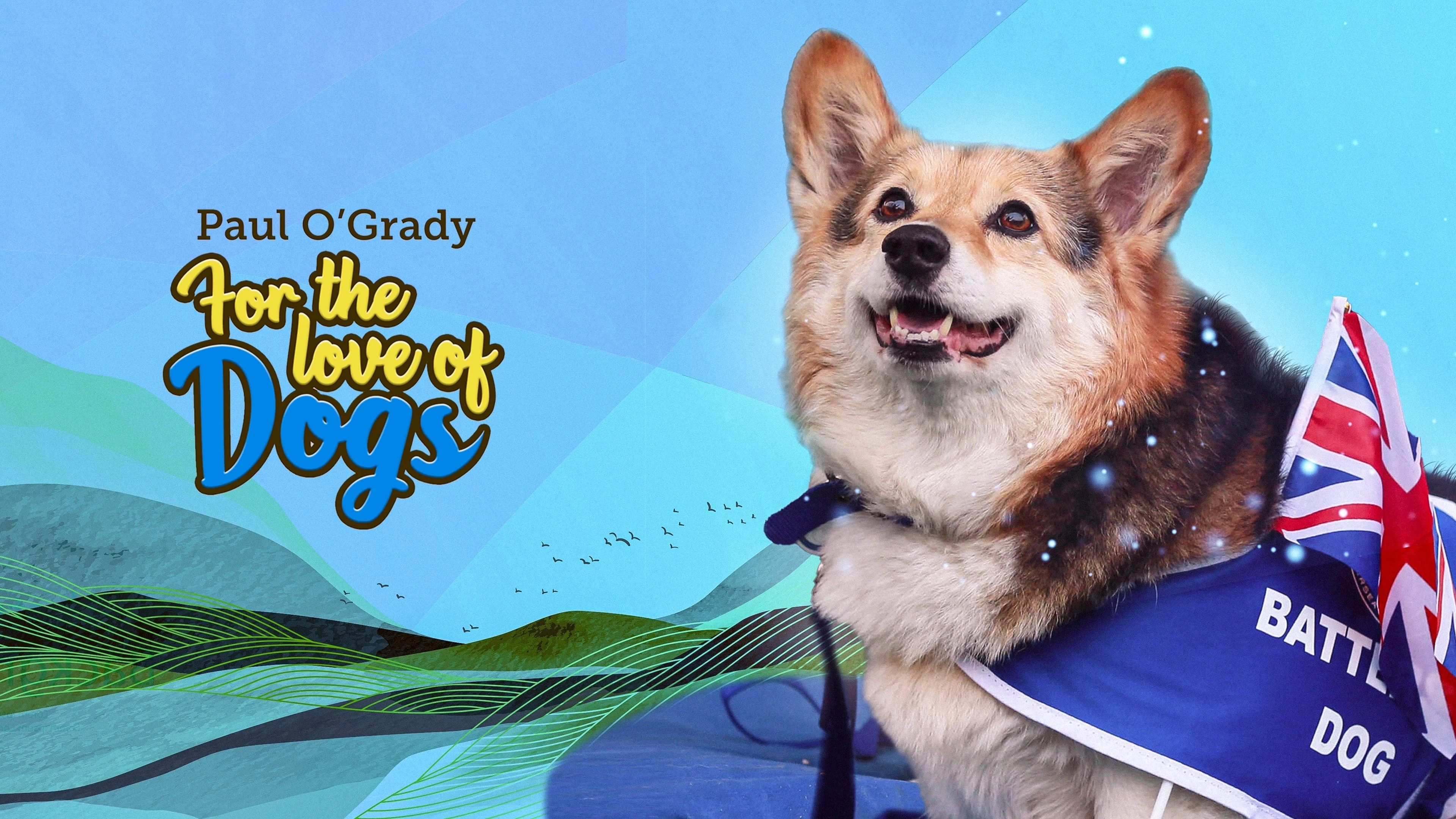 Foto de For the Love of Dogs