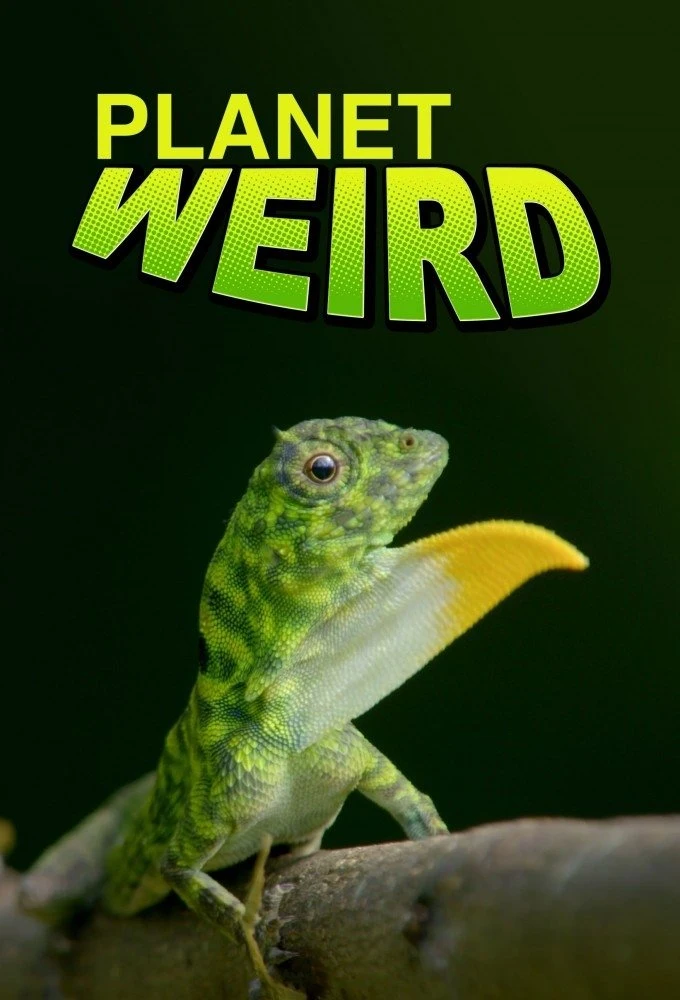 Poster  de Planet Weird