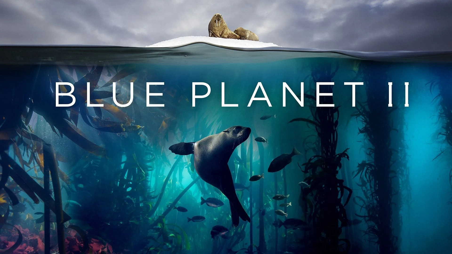 Foto de Blue Planet II
