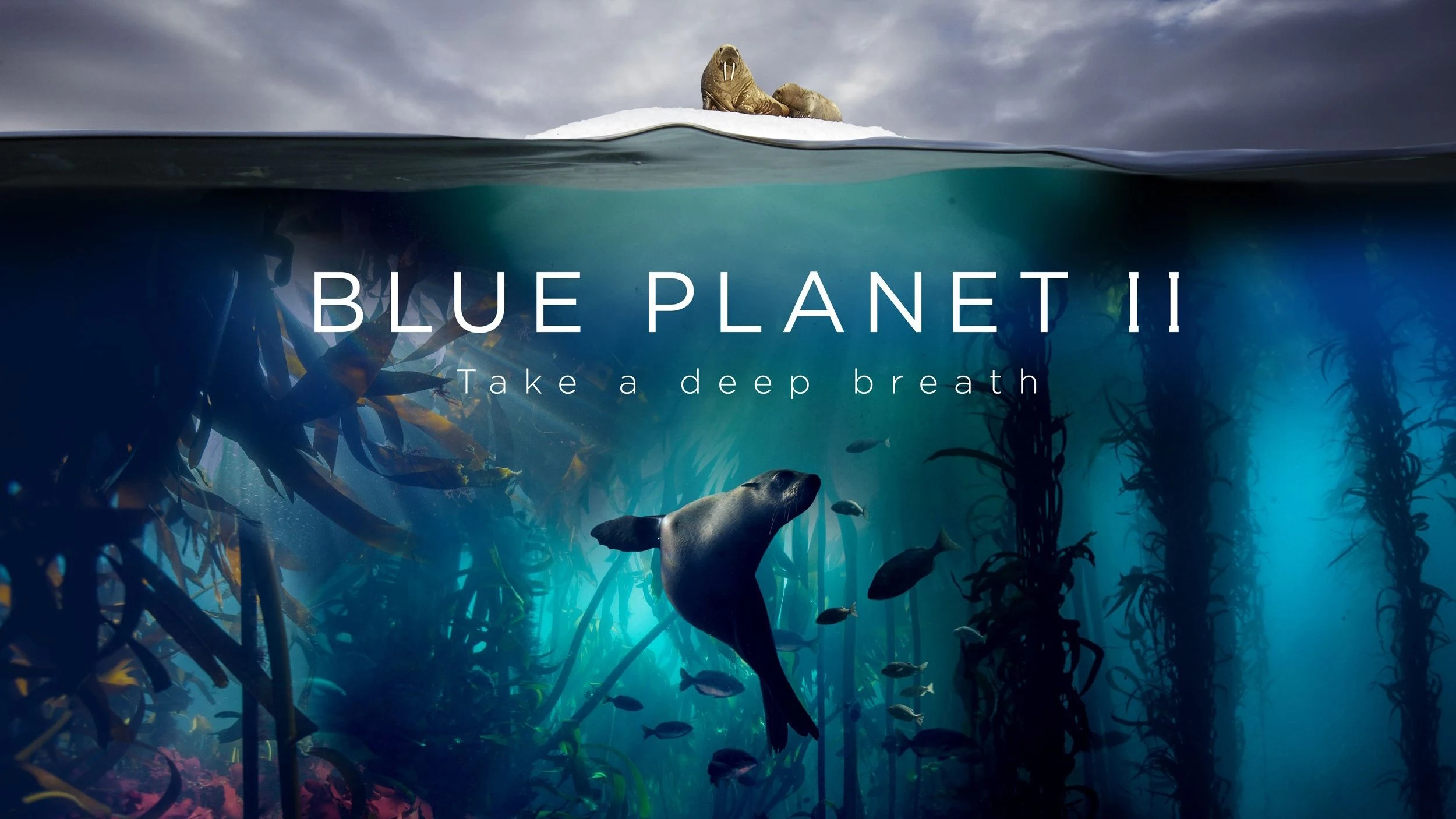 Foto de Blue Planet II
