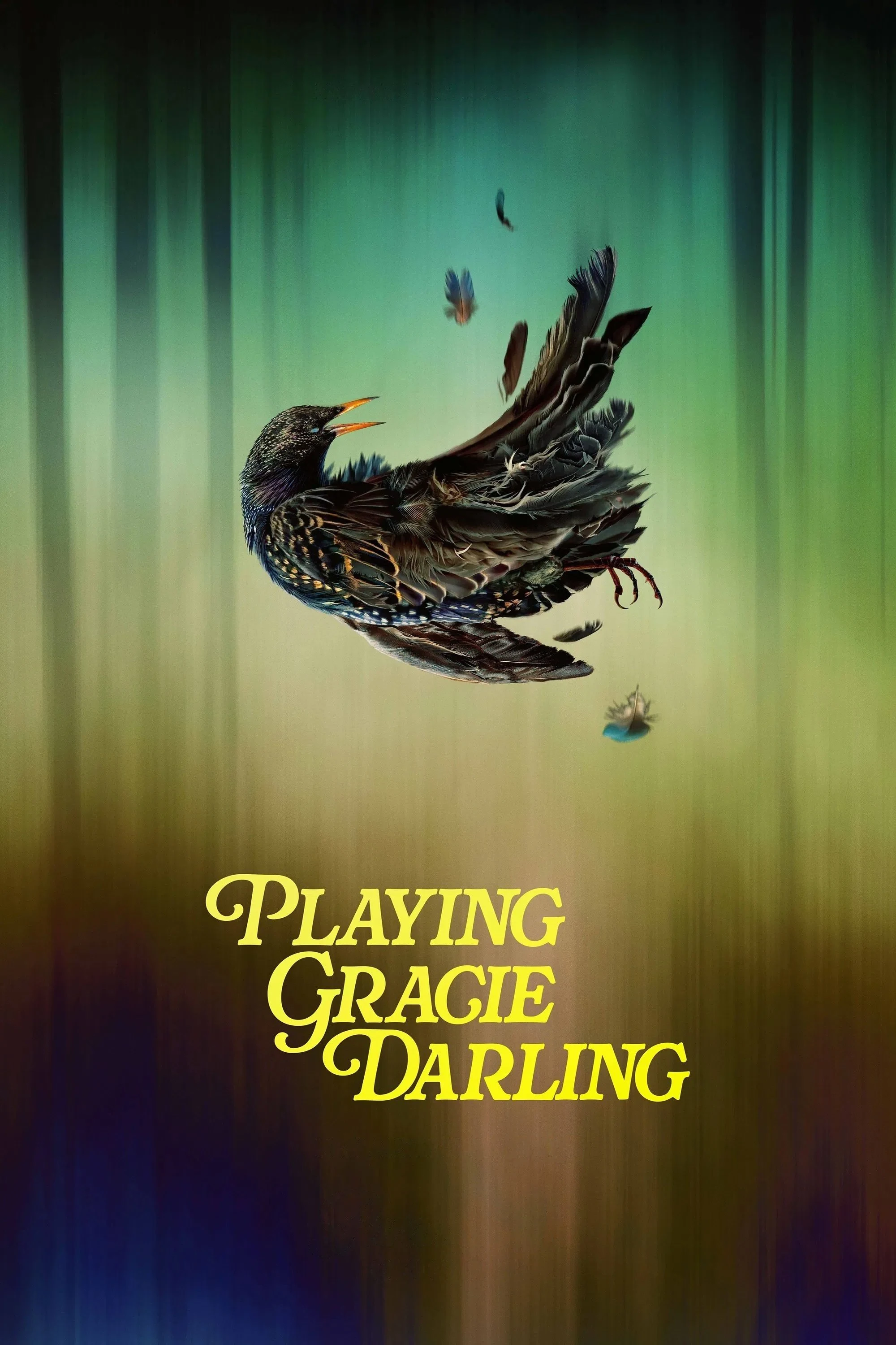 Poster  de Playing Gracie Darling en inglés