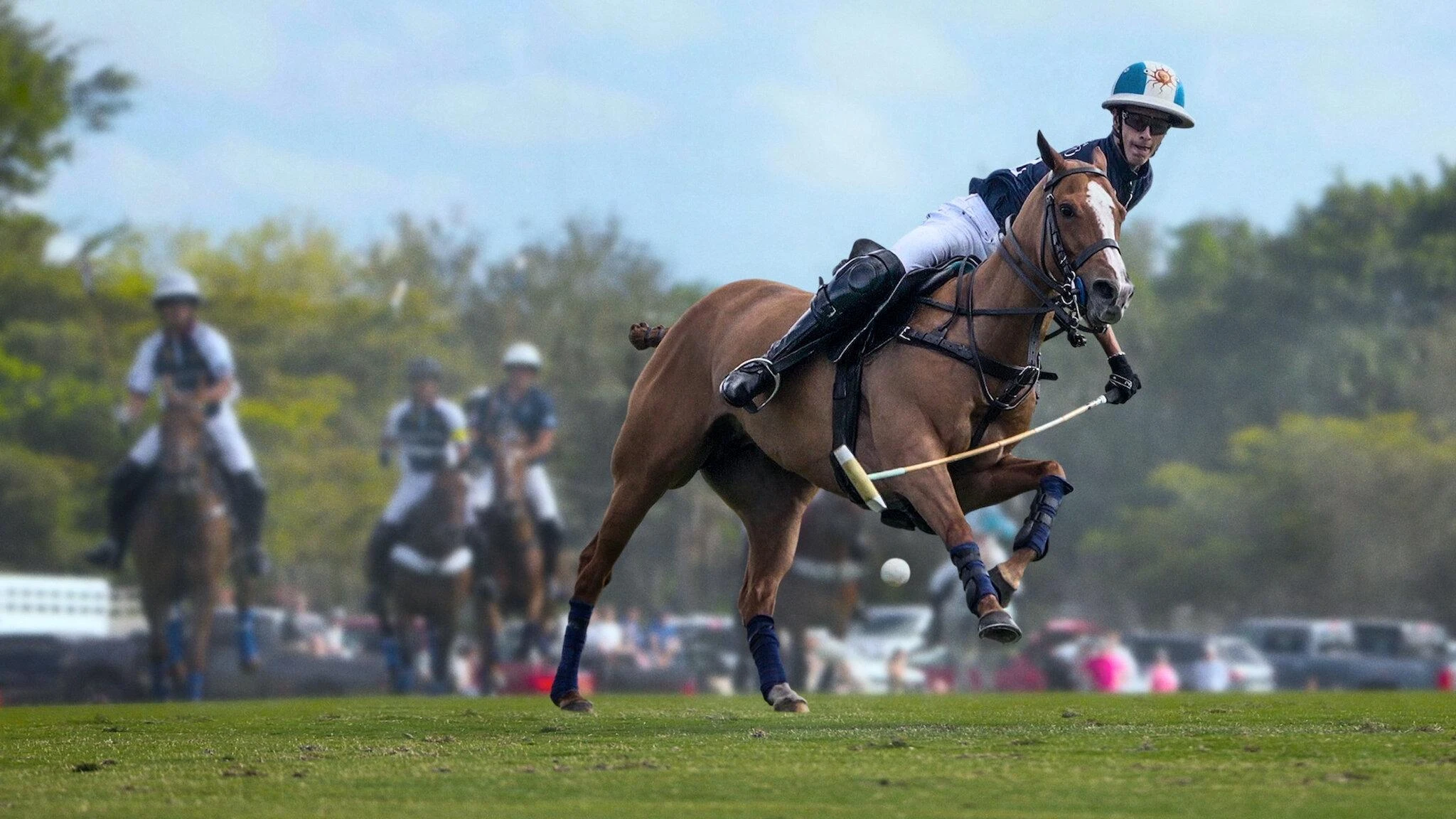 Foto de Polo