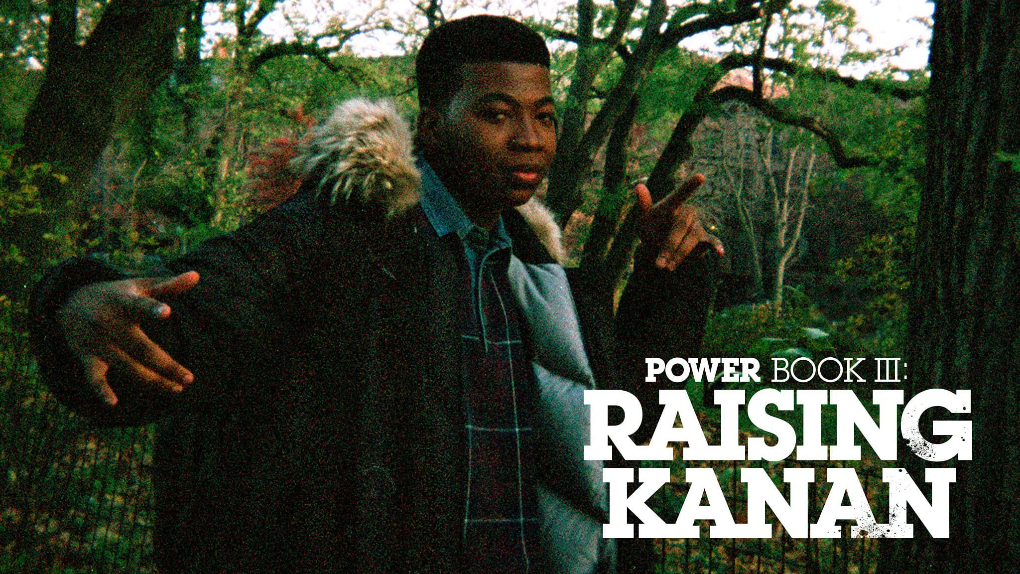 Foto de Power Book III: Raising Kanan