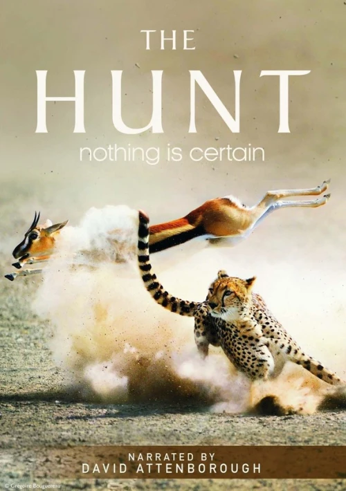 Poster  de la temporada 1 de The Hunt for the World's End Killers