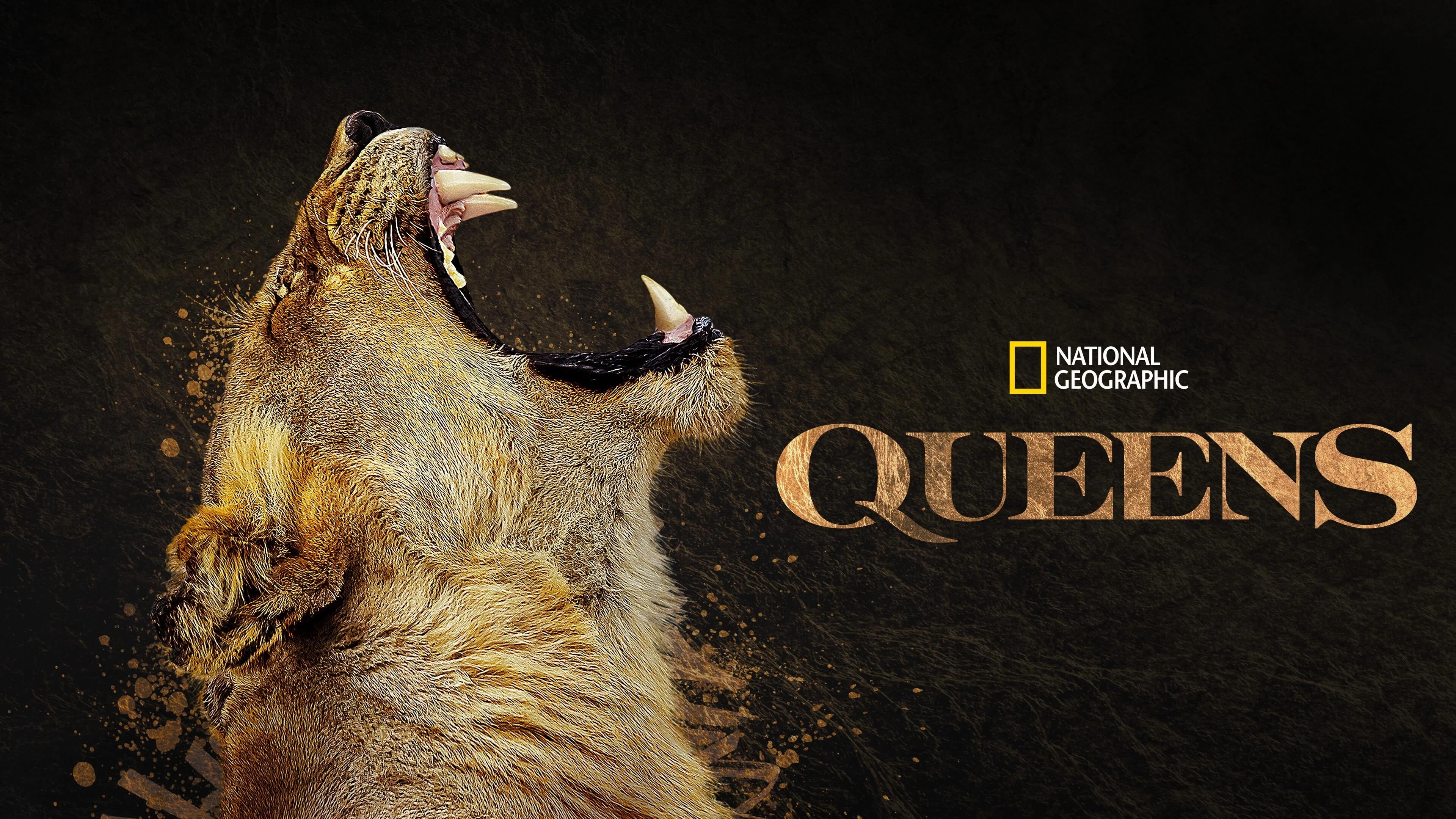 Foto de Queens