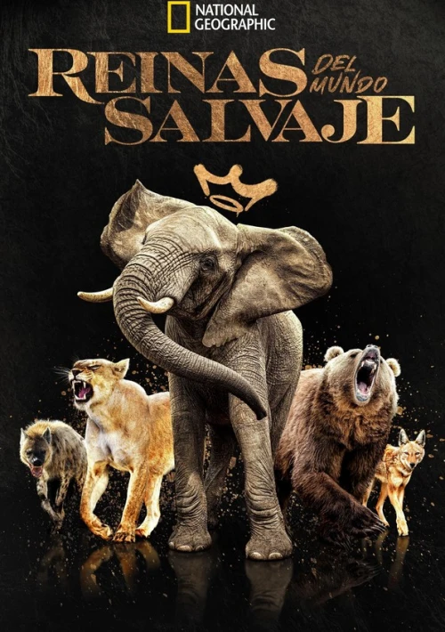 Poster  de la temporada 1 de Queens