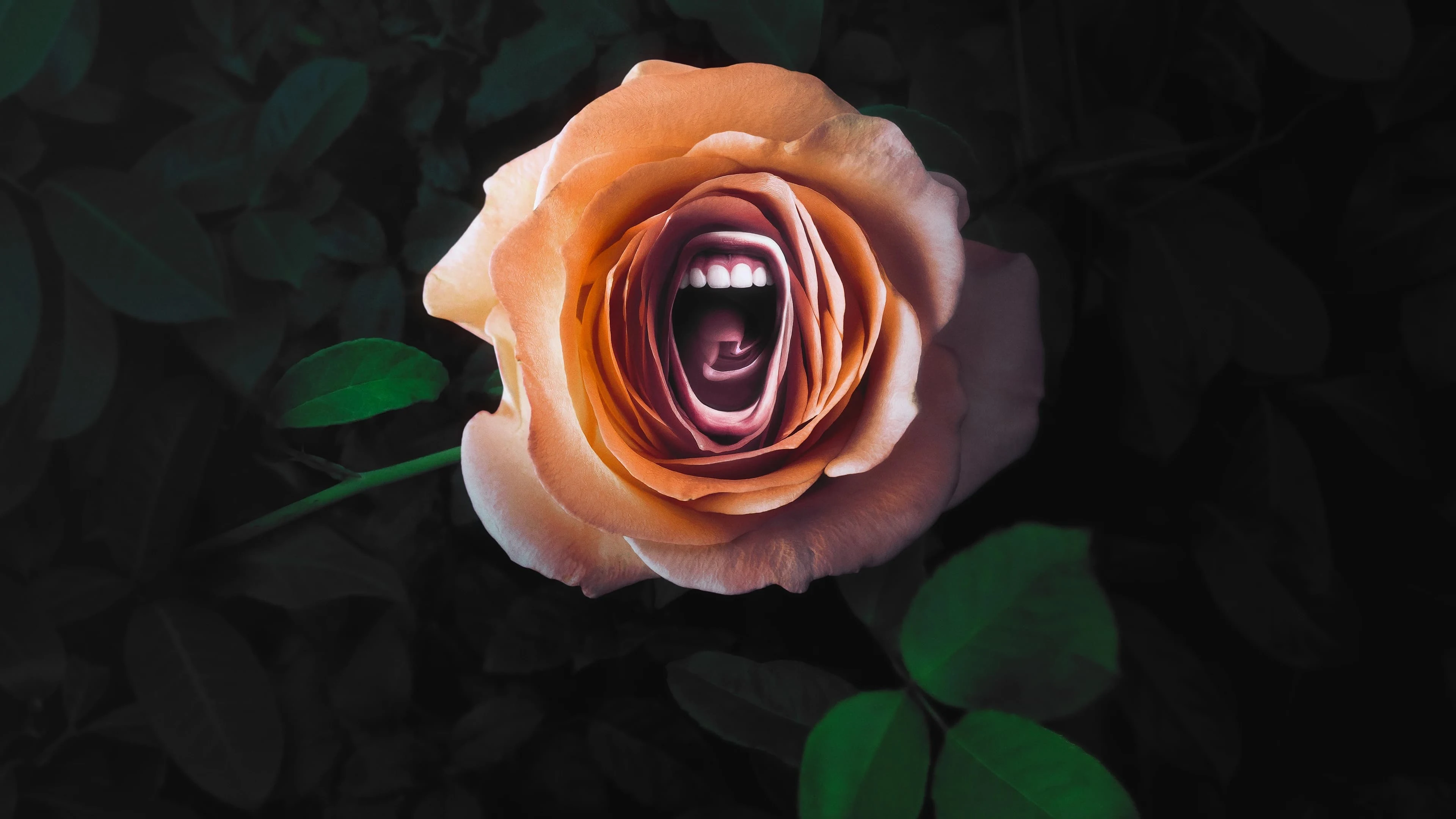 Foto de Roar