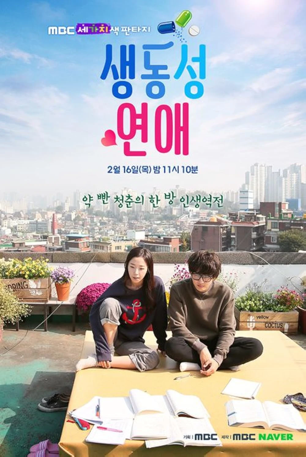 Poster  de Romance Full of Life