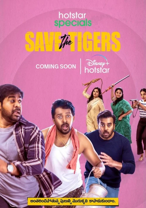 Poster  de la temporada 2 de Save the Tigers