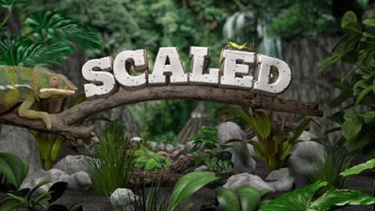 Foto de Scaled