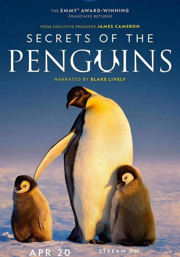 Poster  de Secrets of the Penguins